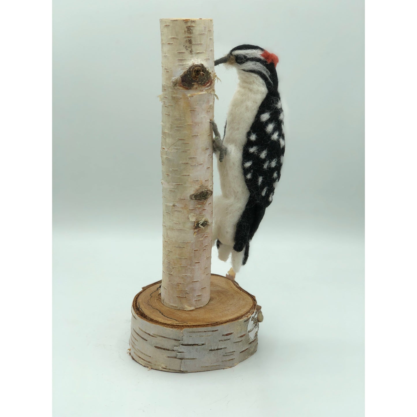 Woodpecker mounted on a natural branch and base