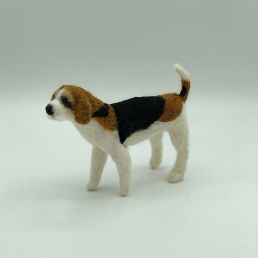 Beagle