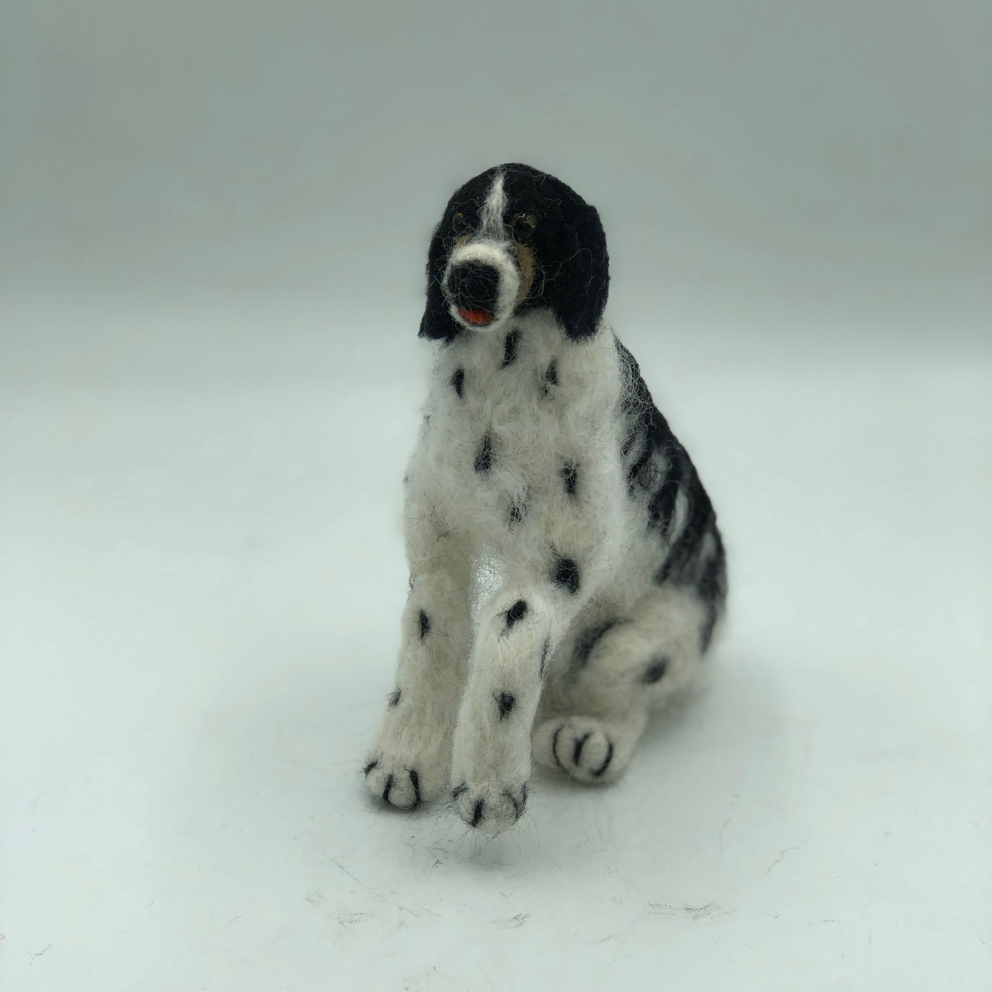 English Springer Spaniel