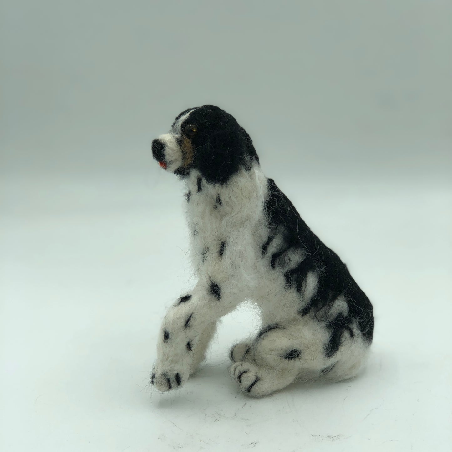 English Springer Spaniel